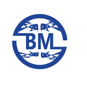 Logo BM